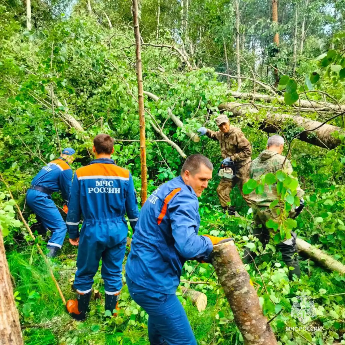 14-20.04.2025 Лента новостей