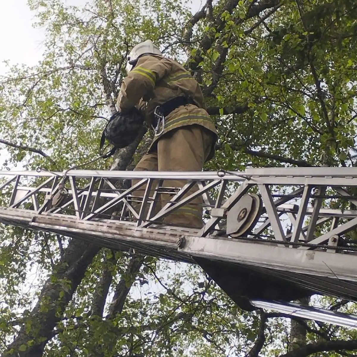 14-20.04.2025 Лента новостей