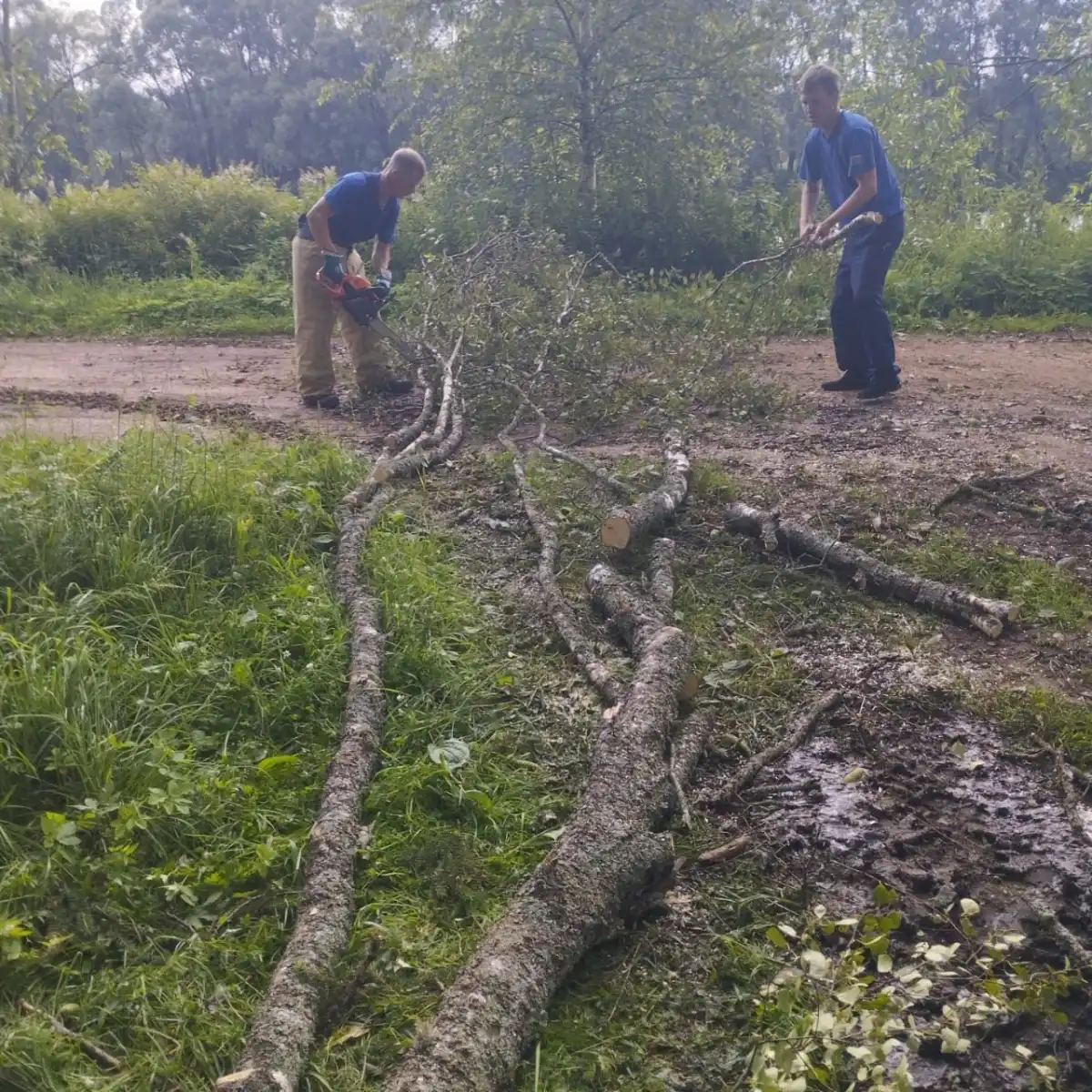 14-20.04.2025 Лента новостей