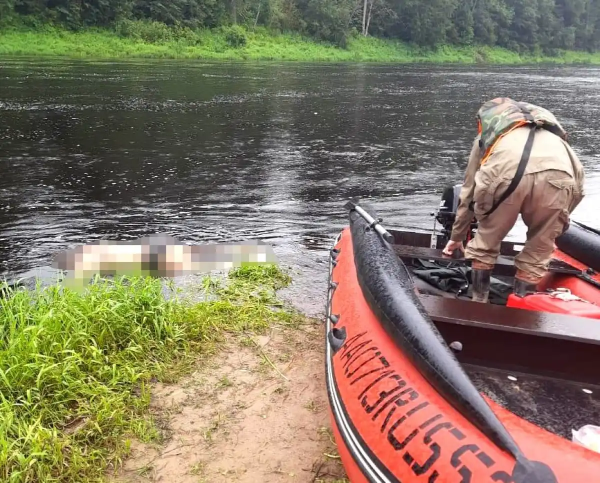 21-28.07.2025 Лента новостей