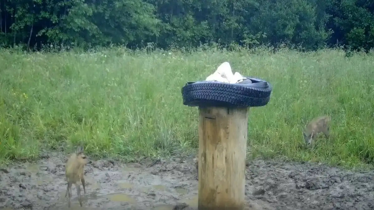 21-28.07.2025 Лента новостей