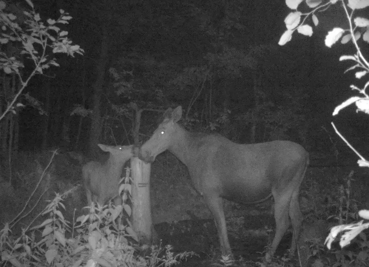 21-28.07.2025 Лента новостей