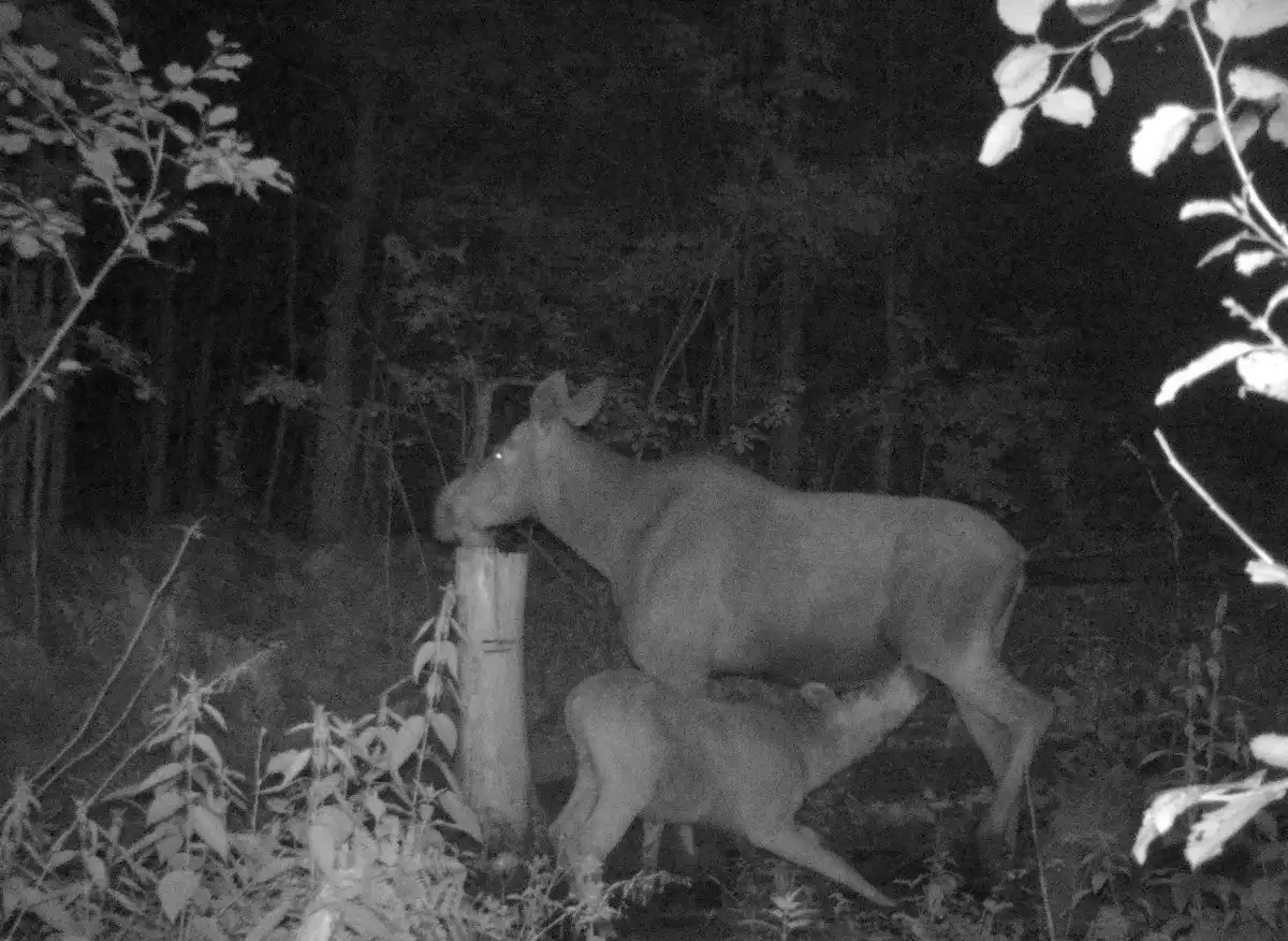 21-28.07.2025 Лента новостей