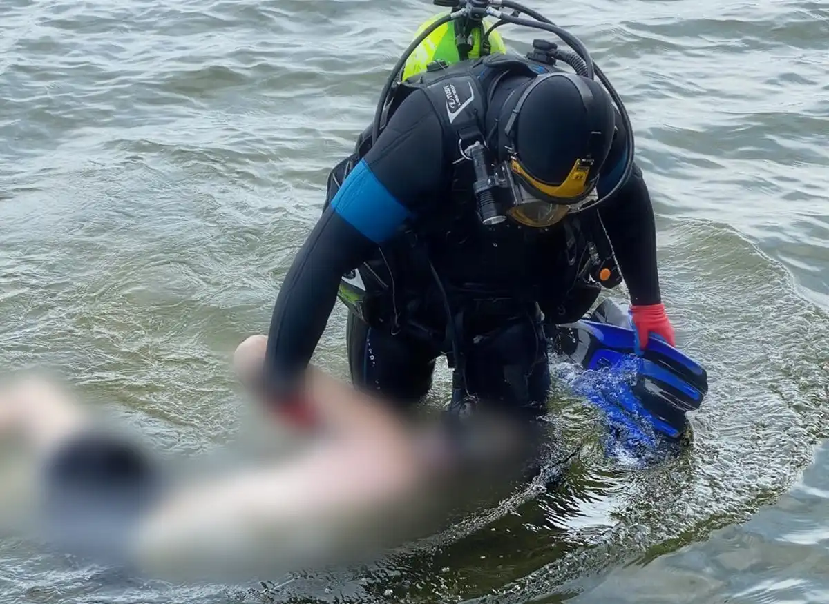 4-10.08.2025 Лента новостей