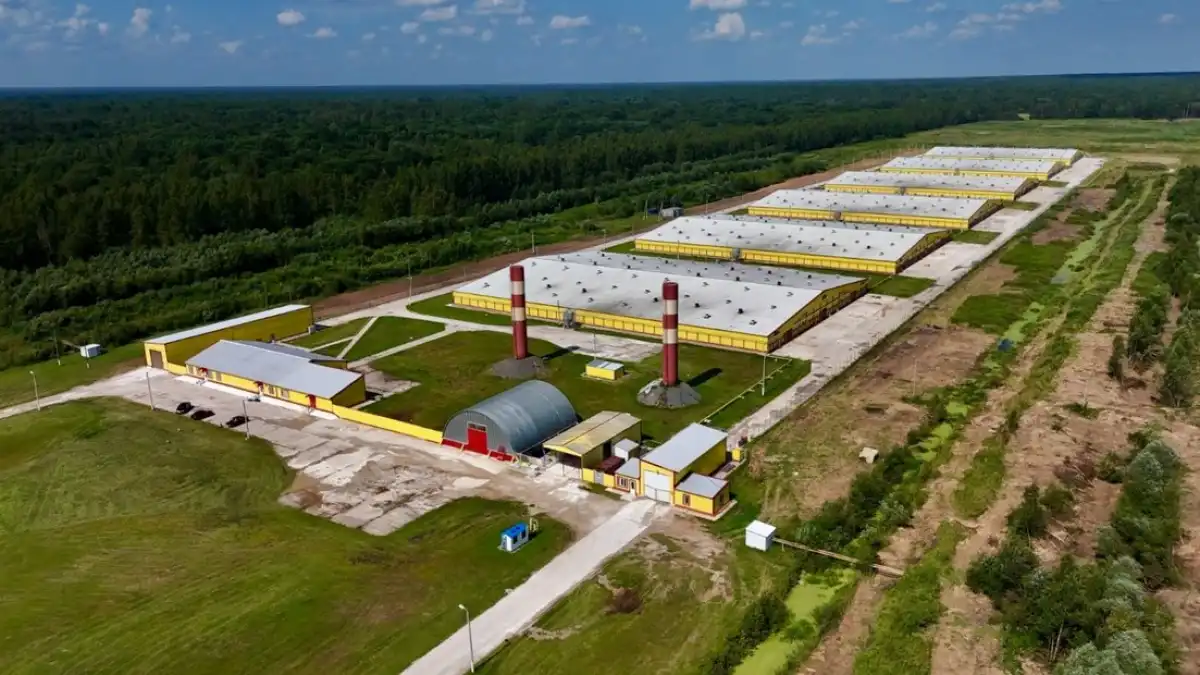 4-10.08.2025 Лента новостей