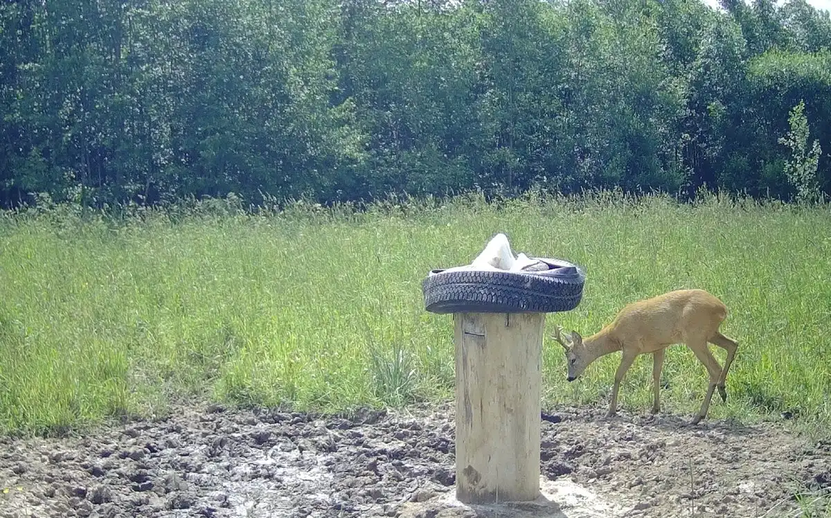 4-10.08.2025 Лента новостей