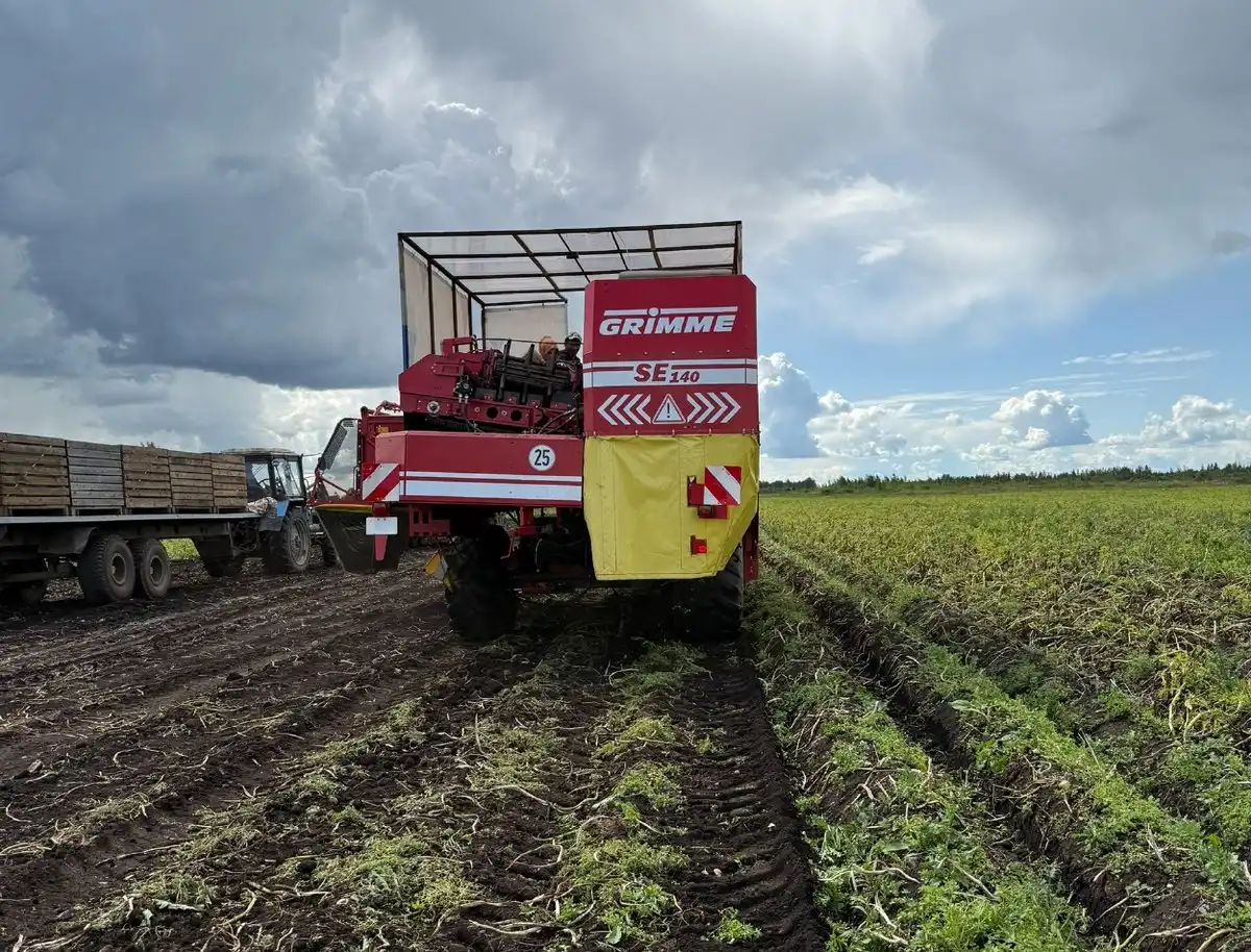 11-17.08.2025 Лента новостей