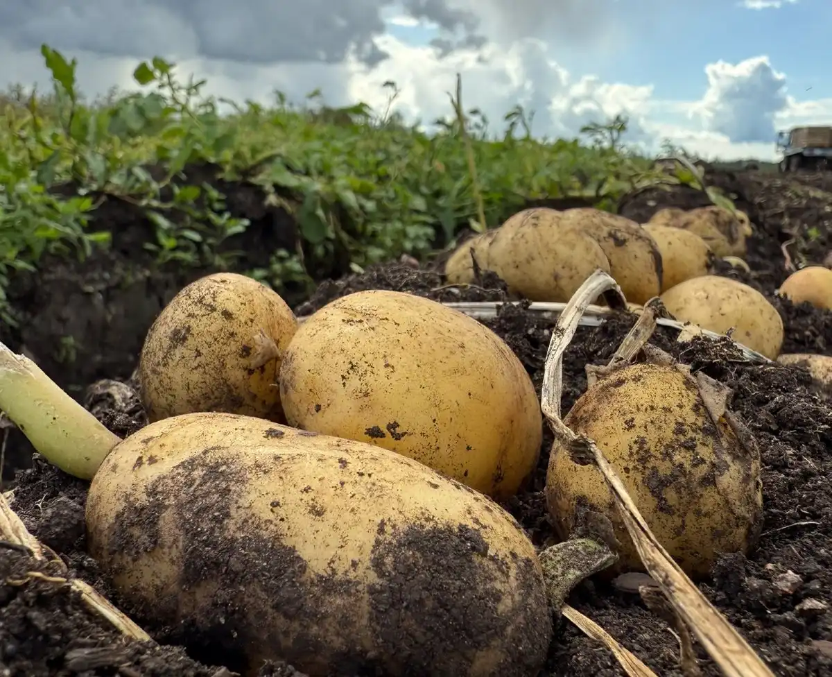 11-17.08.2025 Лента новостей