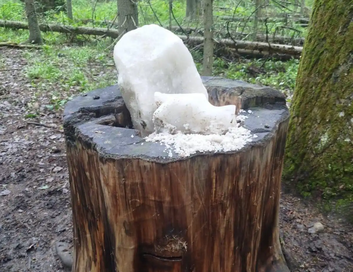 11-17.08.2025 Лента новостей