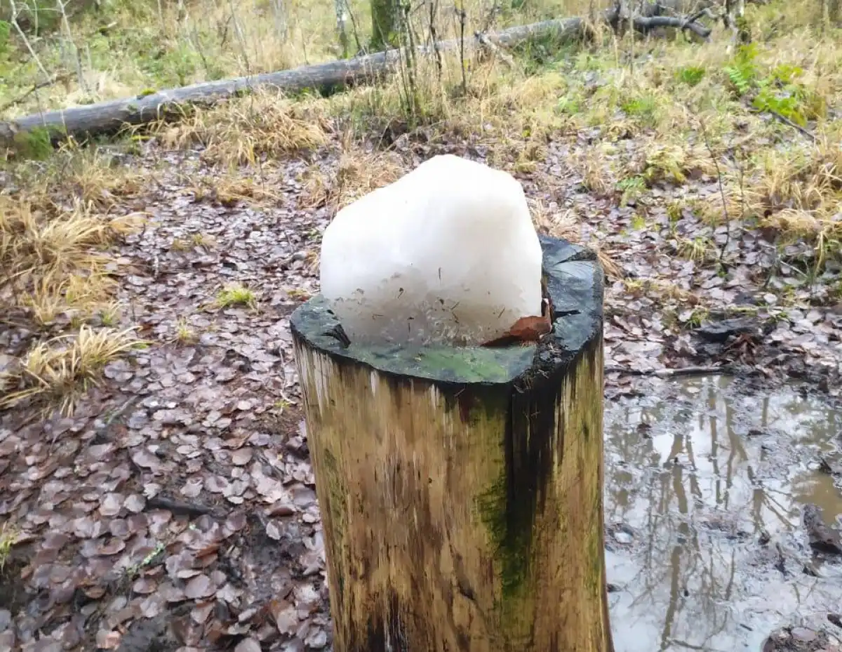 11-17.08.2025 Лента новостей