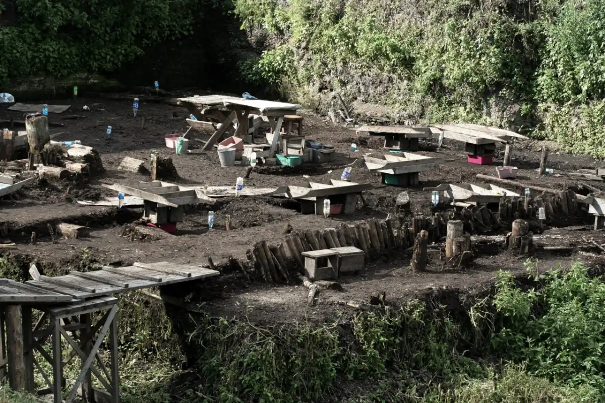 11-17.08.2025 Лента новостей