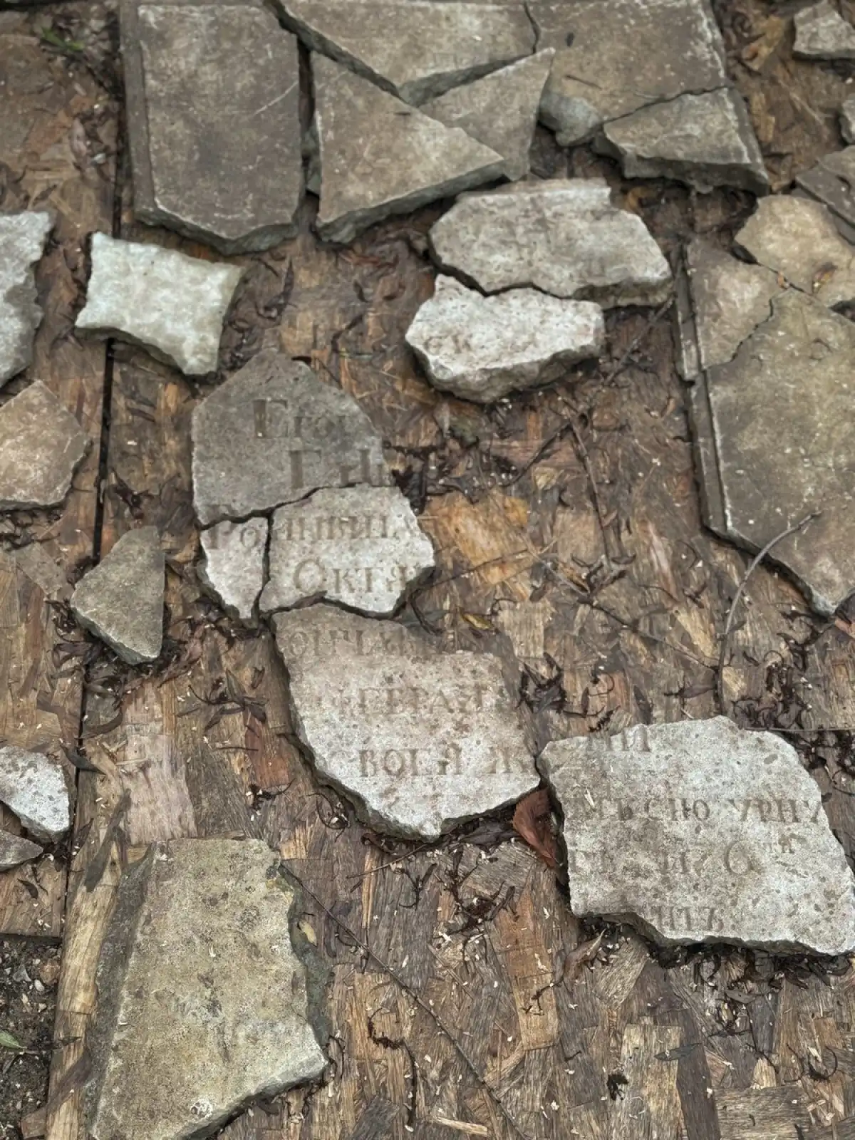 18-24.08.2025 Лента новостей