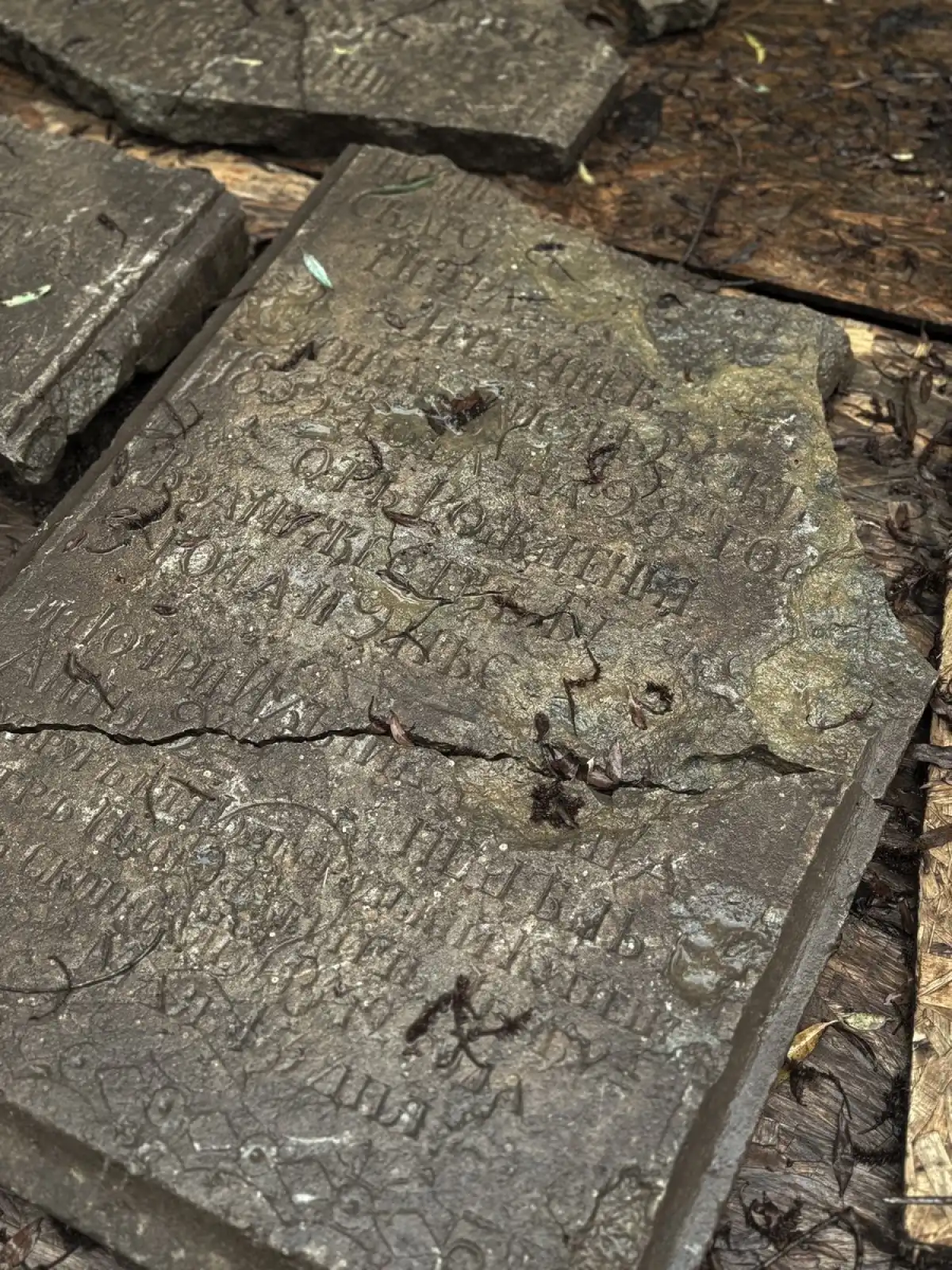 18-24.08.2025 Лента новостей