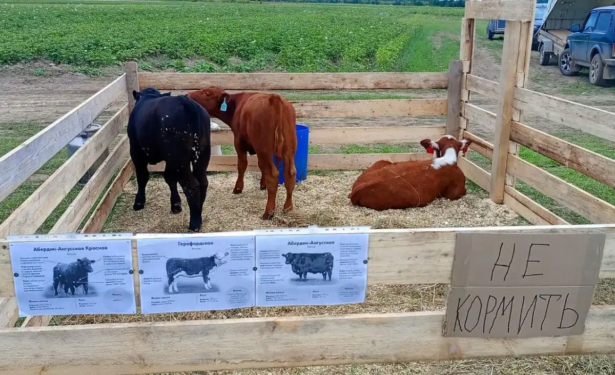18-24.08.2025 Лента новостей