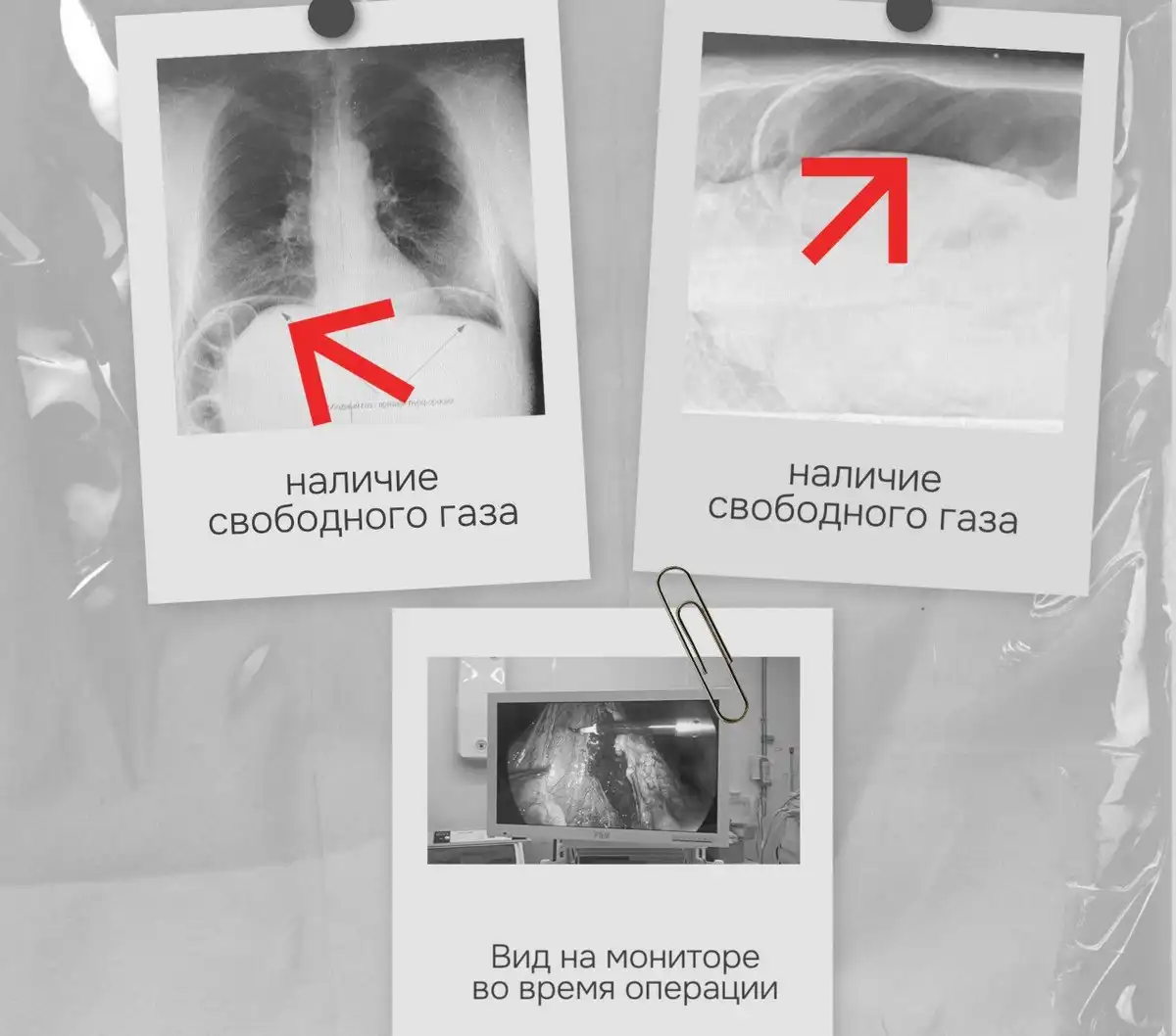 25-31.08.2025 Лента новостей