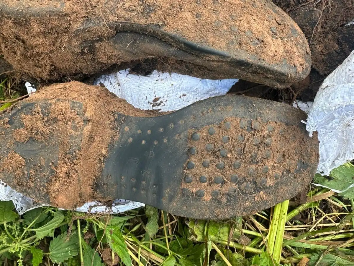 25-31.08.2025 Лента новостей