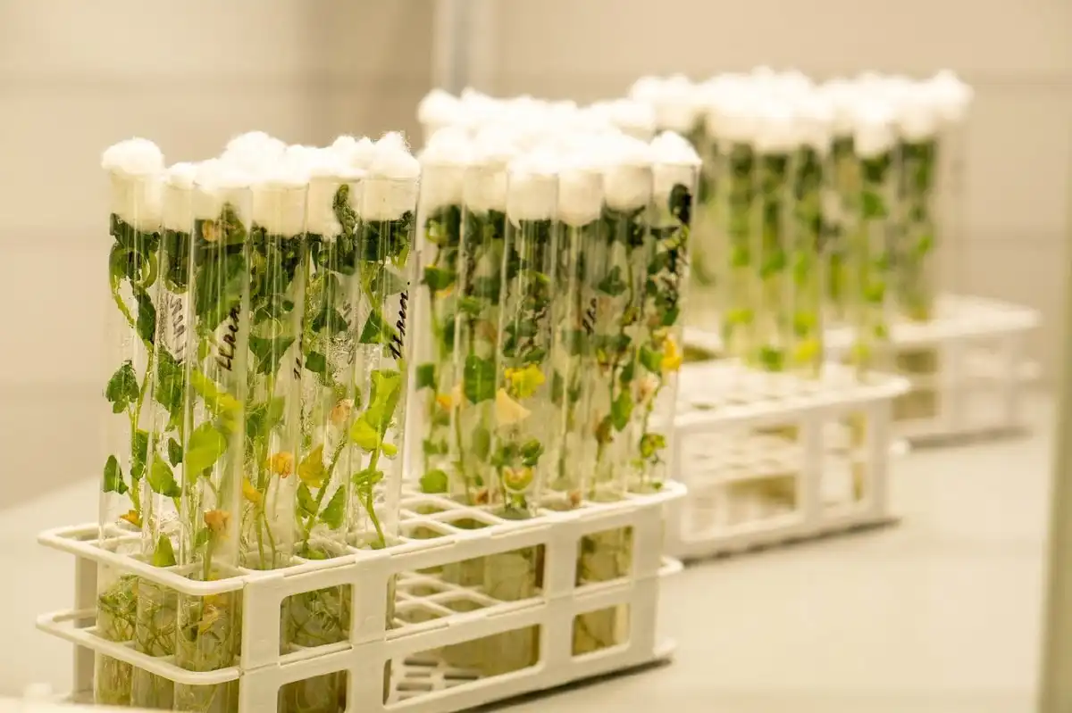 25-31.08.2025 Лента новостей