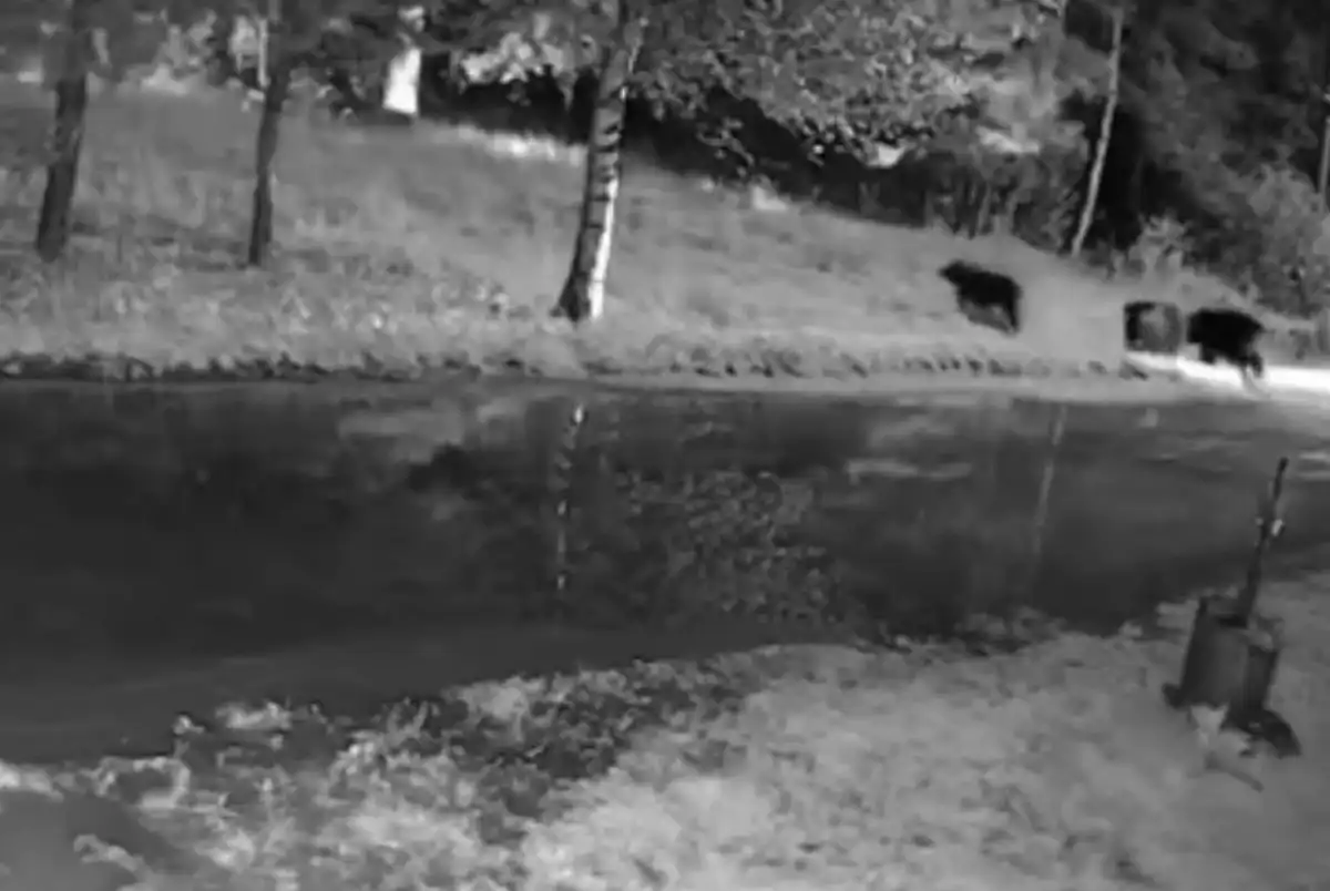 25-31.08.2025 Лента новостей