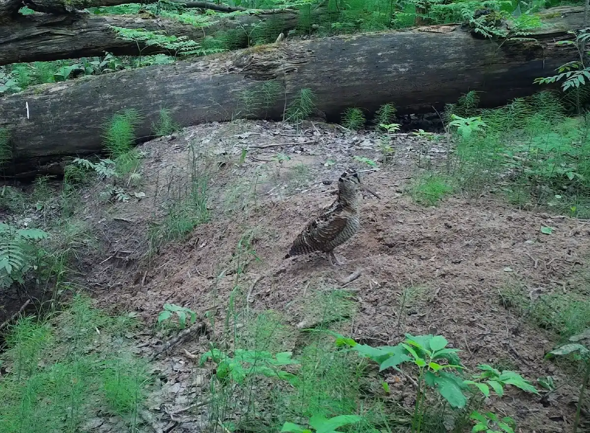 25-31.08.2025 Лента новостей