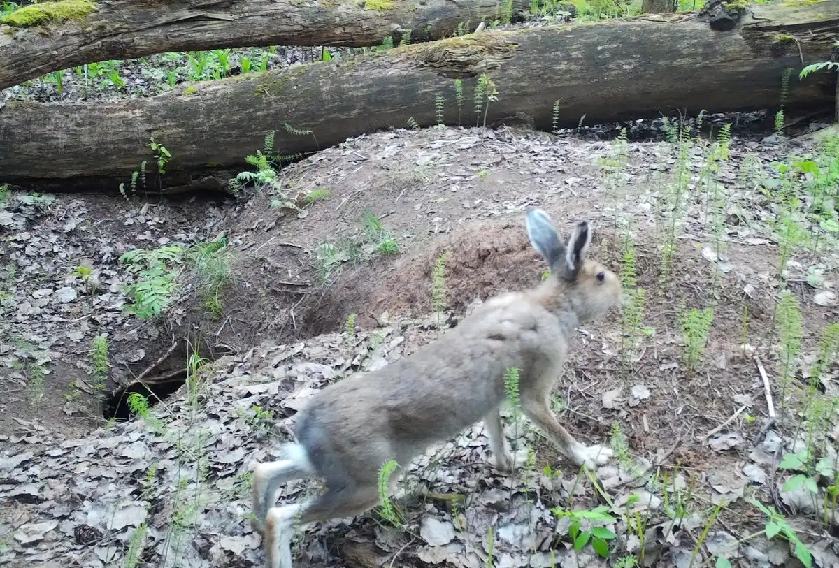 25-31.08.2025 Лента новостей