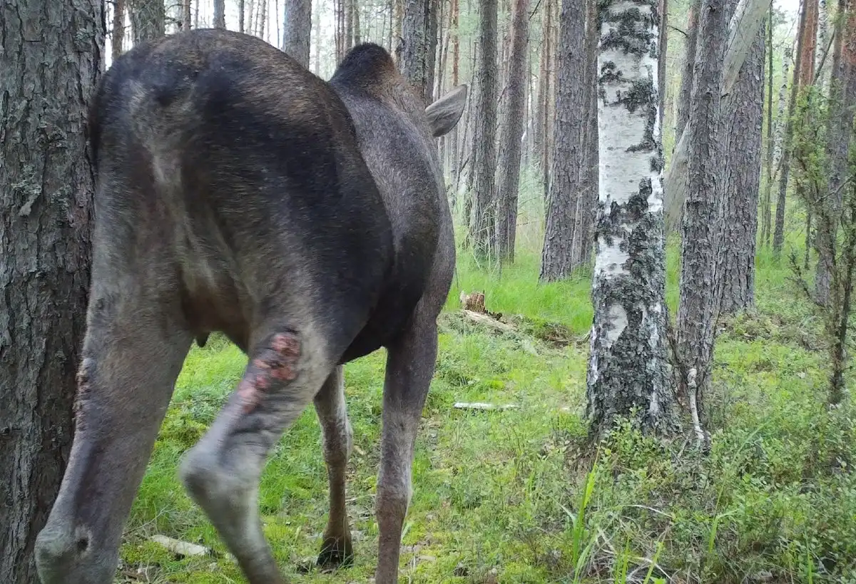 25-31.08.2025 Лента новостей