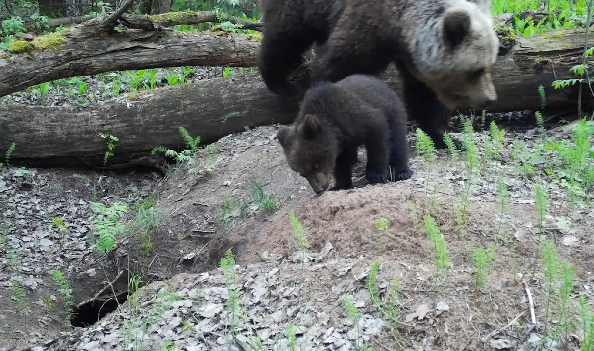 25-31.08.2025 Лента новостей