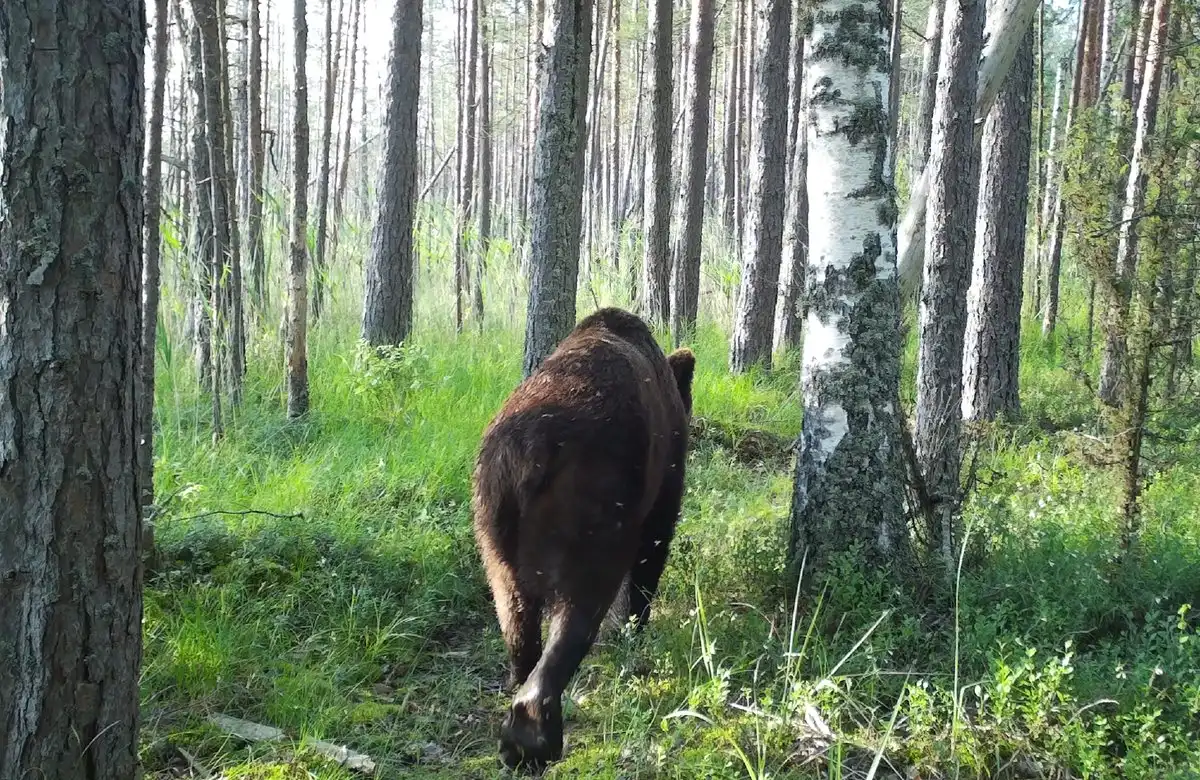 25-31.08.2025 Лента новостей