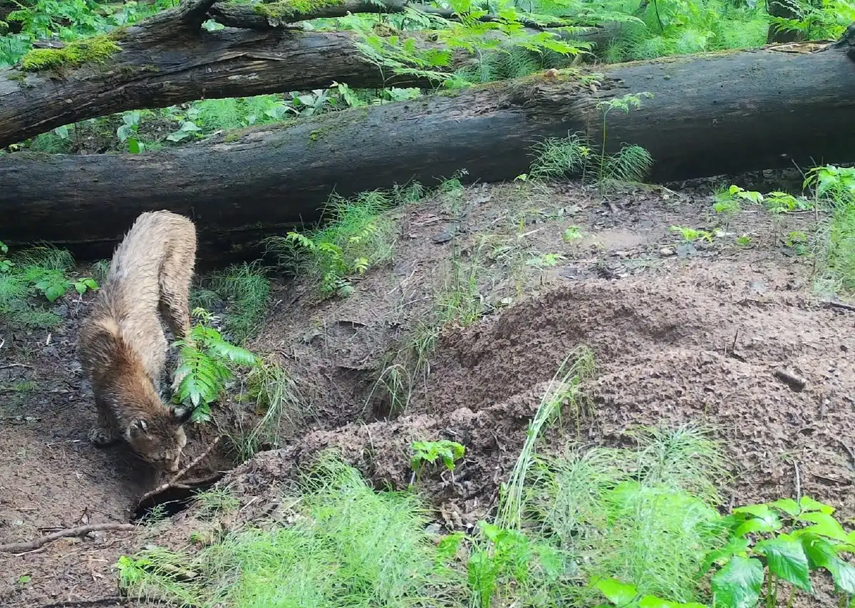 25-31.08.2025 Лента новостей