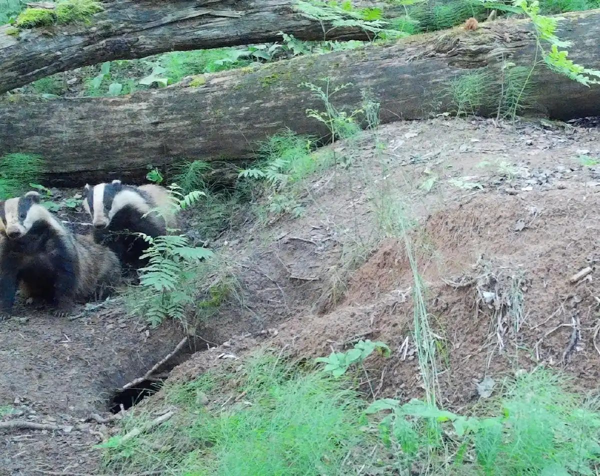 25-31.08.2025 Лента новостей