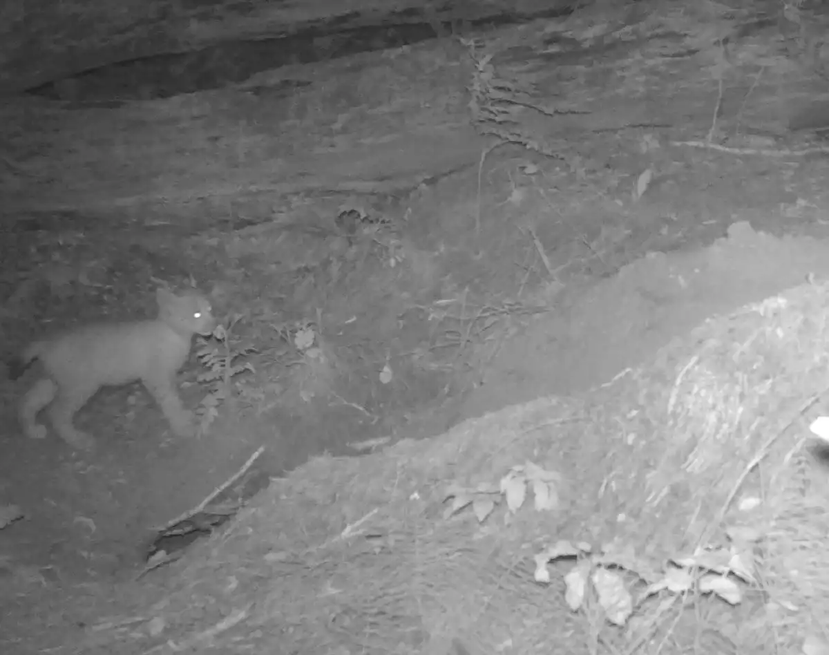 25-31.08.2025 Лента новостей