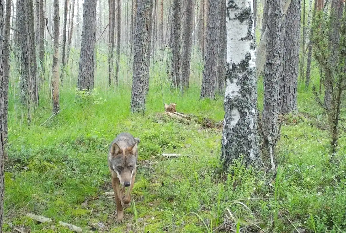 25-31.08.2025 Лента новостей