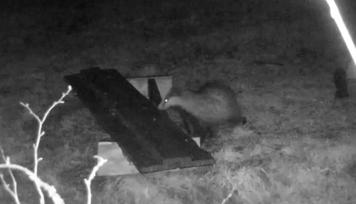 1-7.09.2025 лента новостей