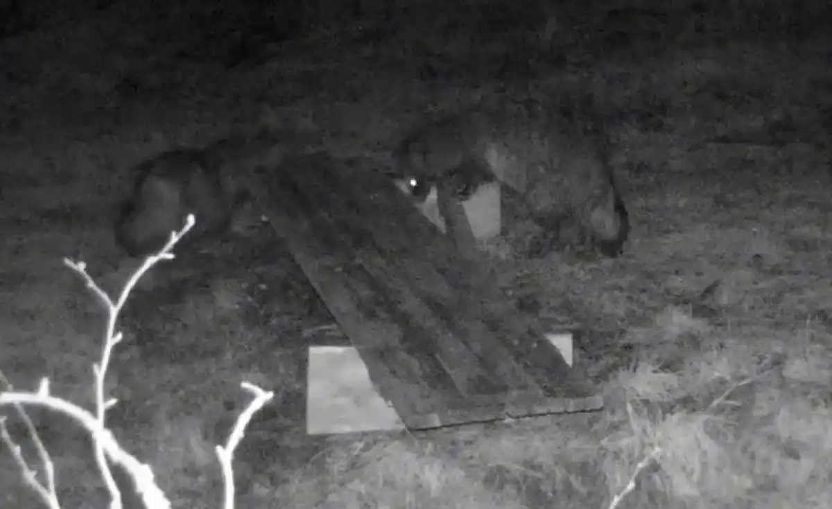 1-7.09.2025 лента новостей