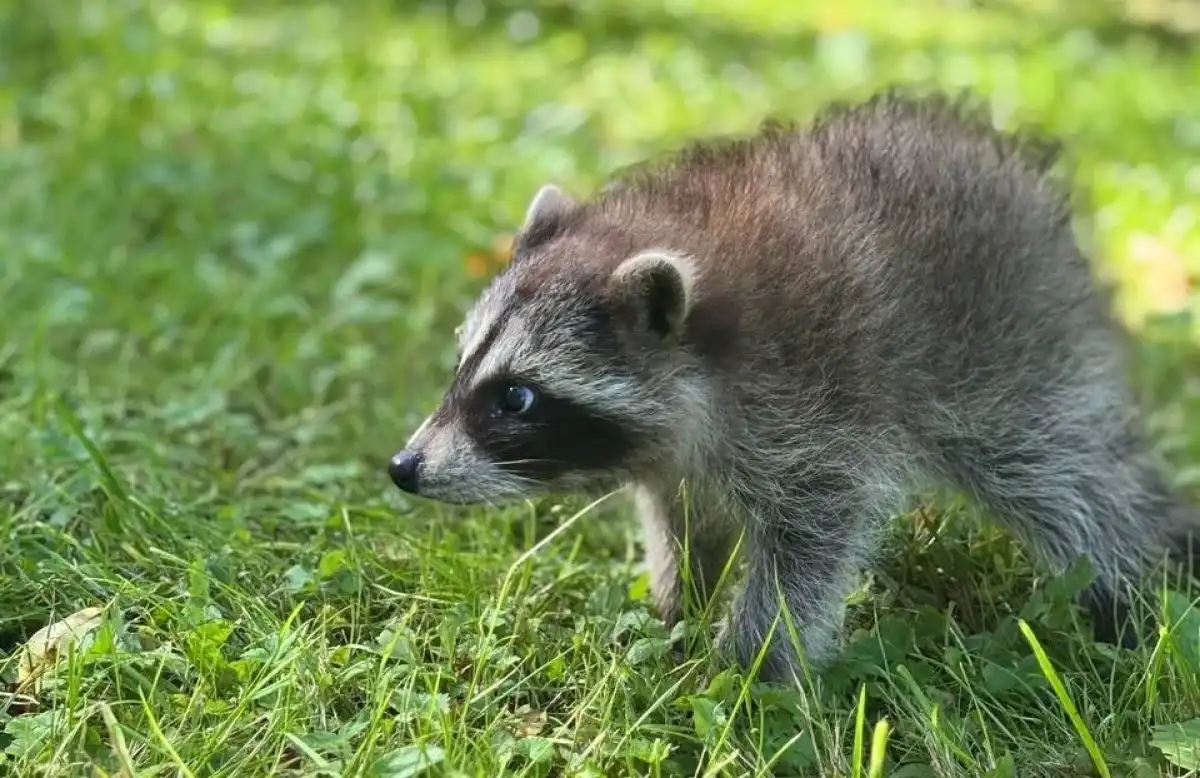 1-7.09.2025 лента новостей