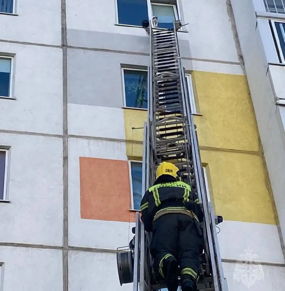 8-14.09.2025 Лента новостей