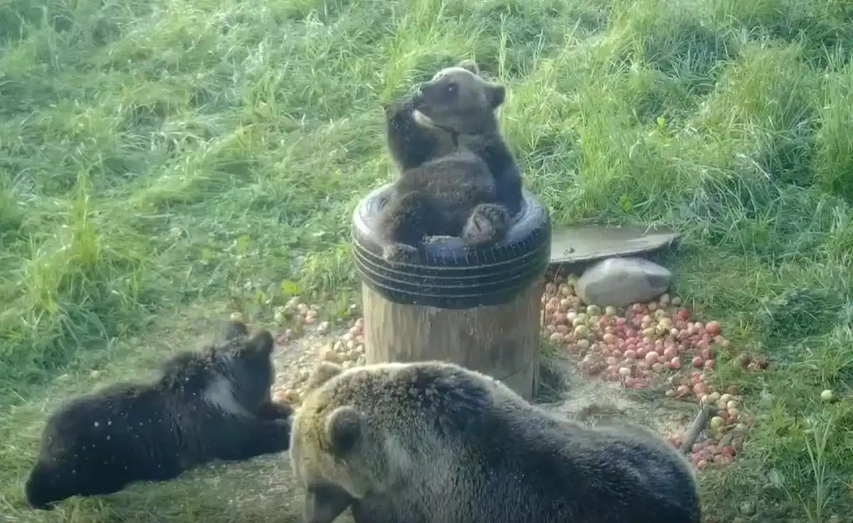 8-14.09.2025 Лента новостей