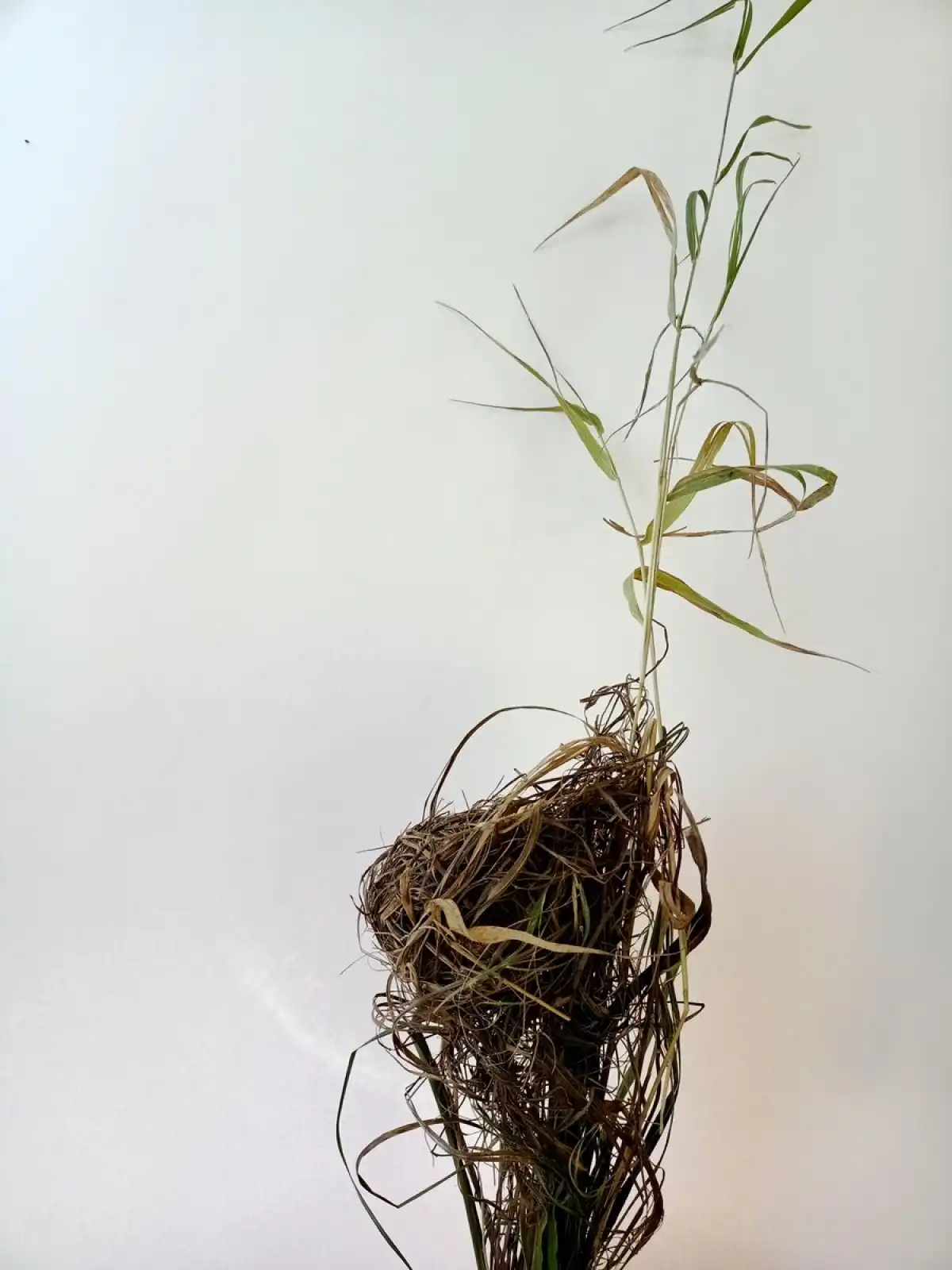 8-14.09.2025 Лента новостей