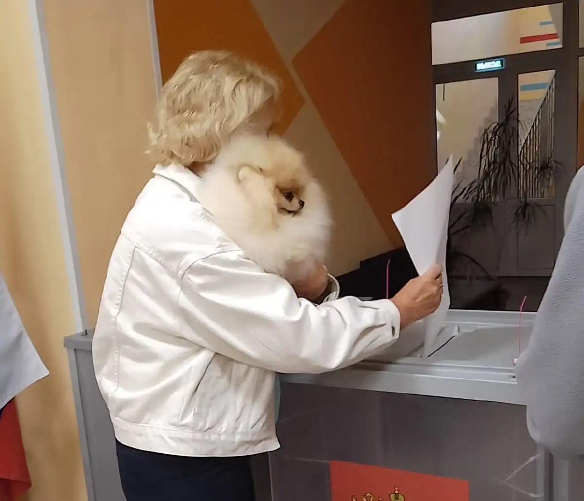 Выборы лента новостей 12-14 сентября