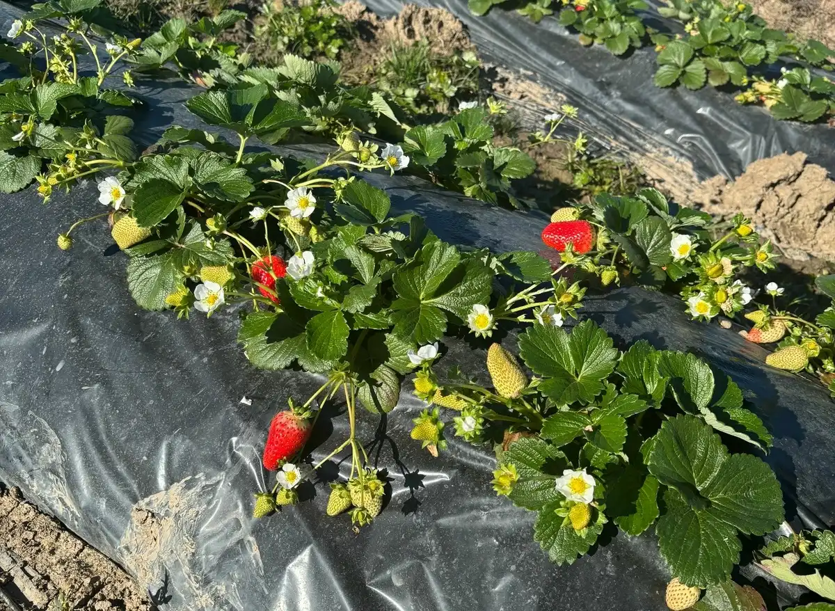 29.09-5.10.2025  Лента новостей