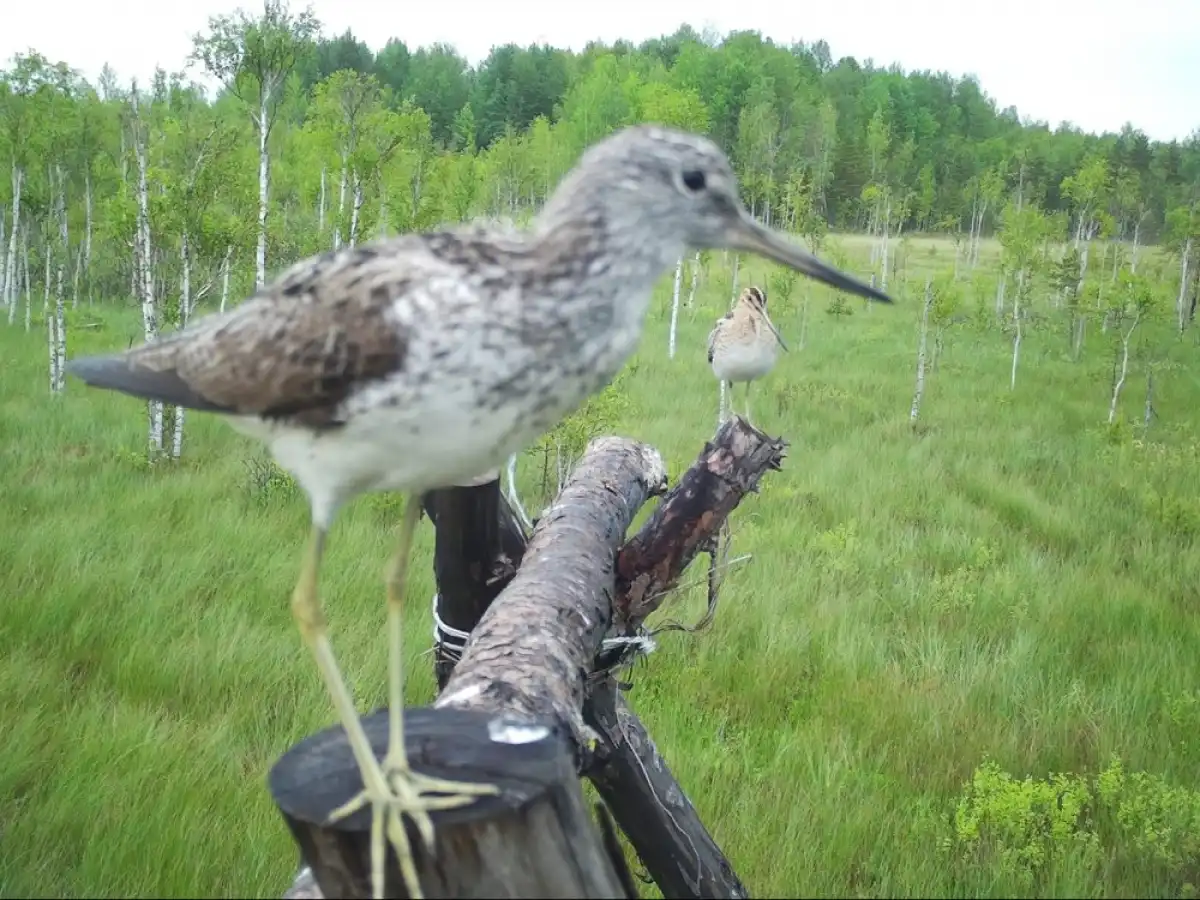 6-12.10.2025 Лента новостей