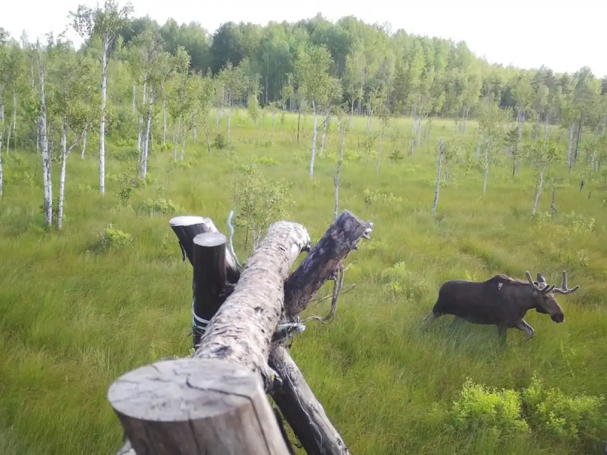 6-12.10.2025 Лента новостей