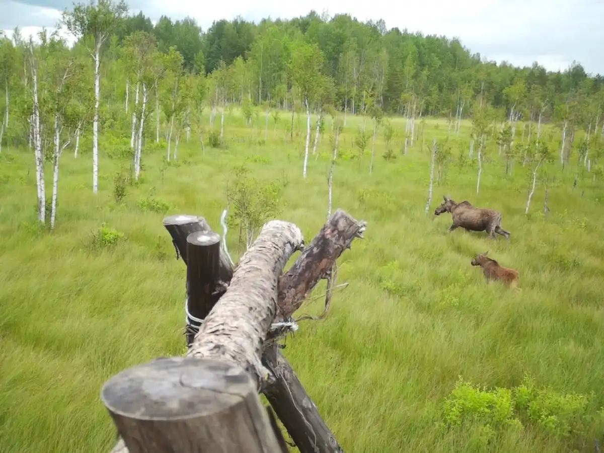 6-12.10.2025 Лента новостей