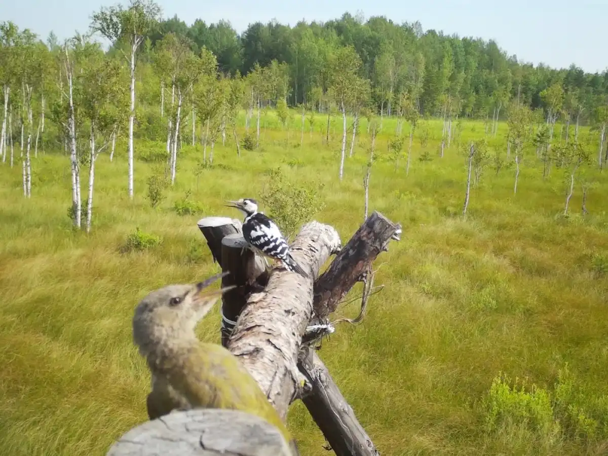 6-12.10.2025 Лента новостей