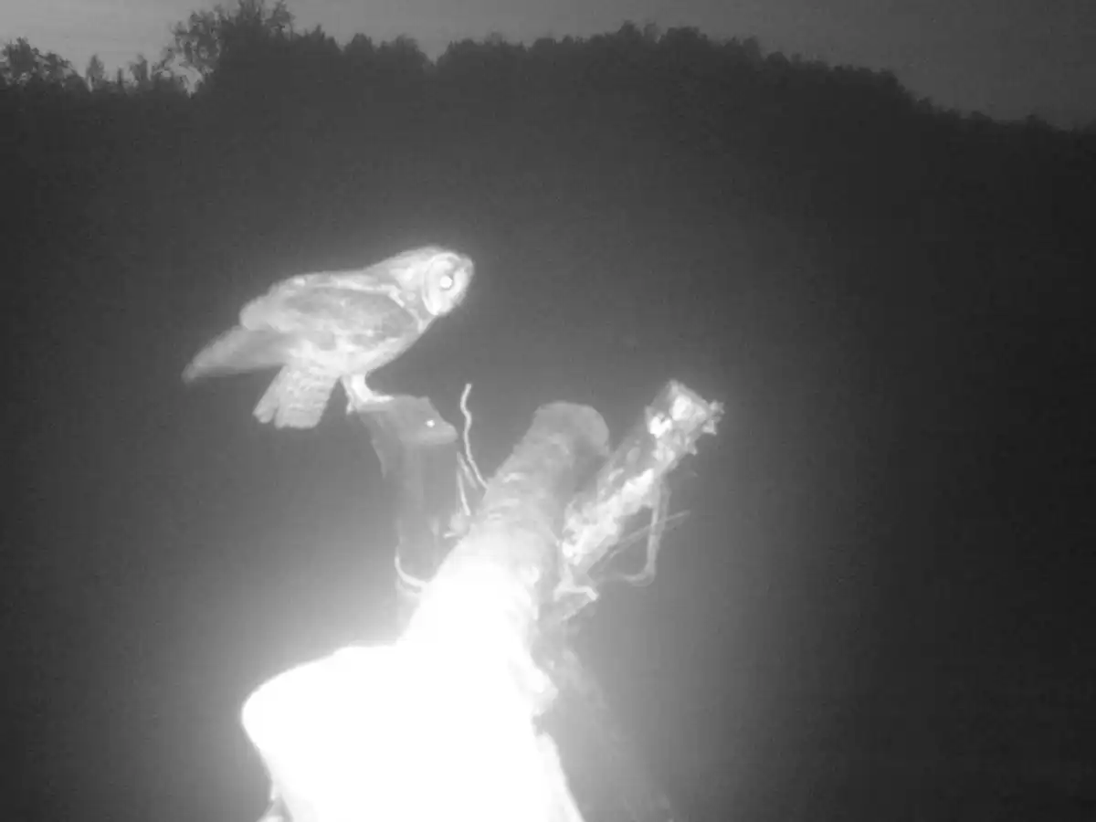 6-12.10.2025 Лента новостей