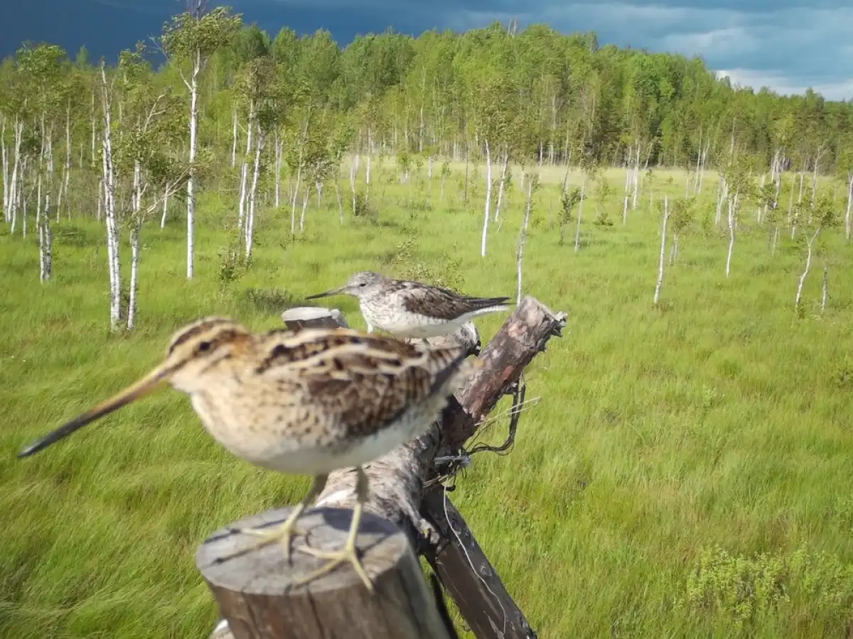6-12.10.2025 Лента новостей