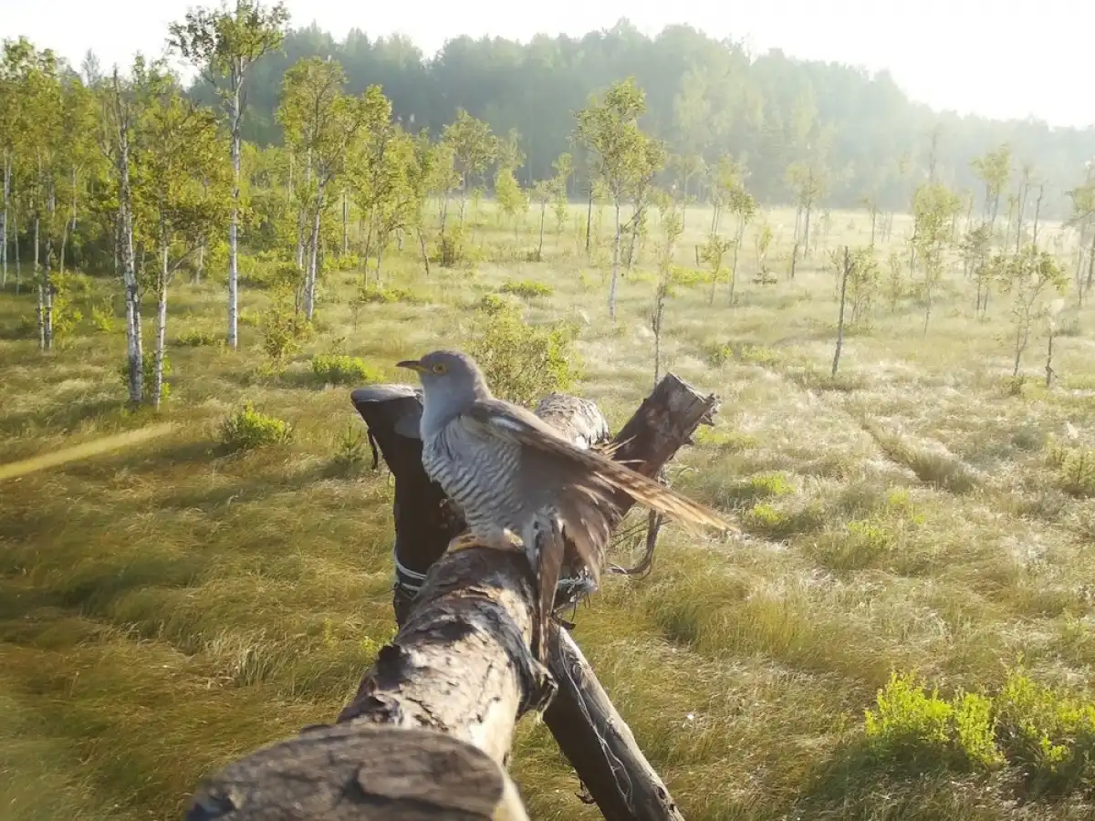 6-12.10.2025 Лента новостей