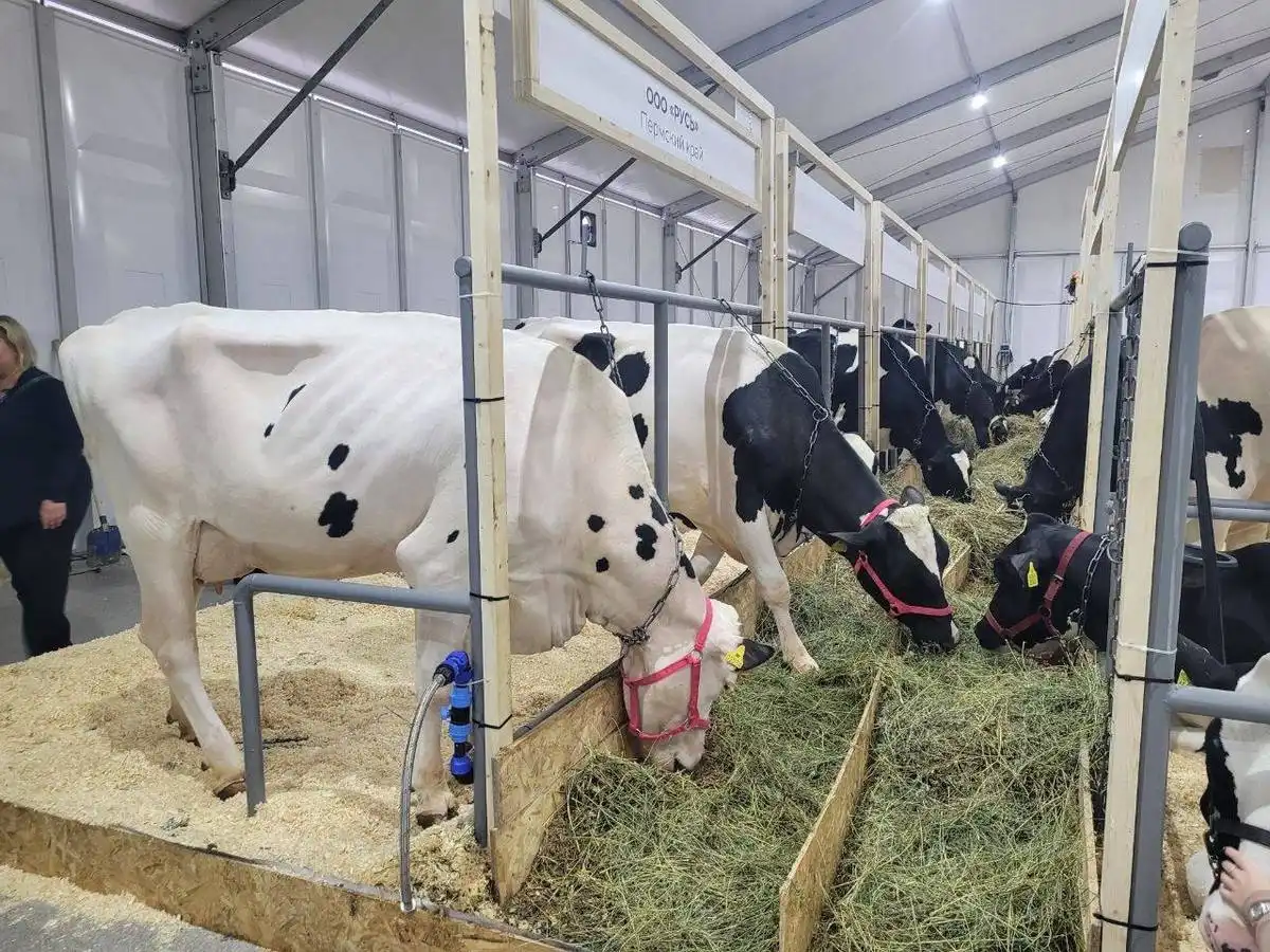 6-12.10.2025 Лента новостей