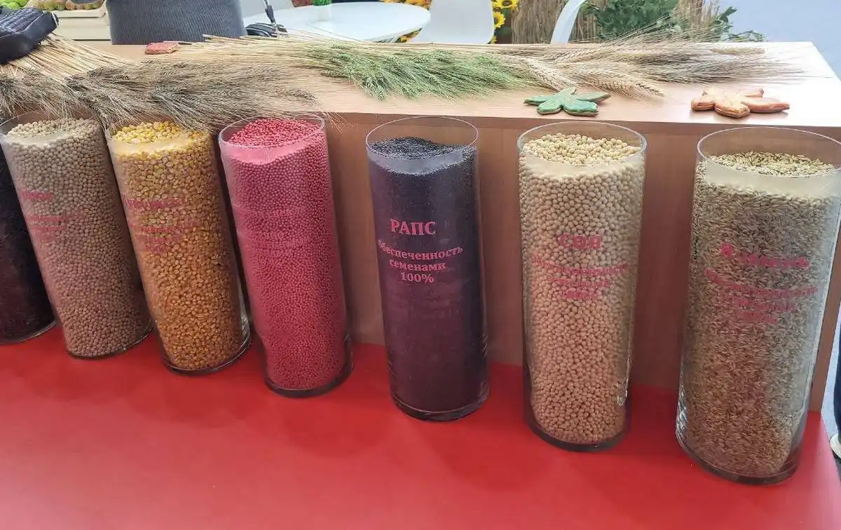 6-12.10.2025 Лента новостей