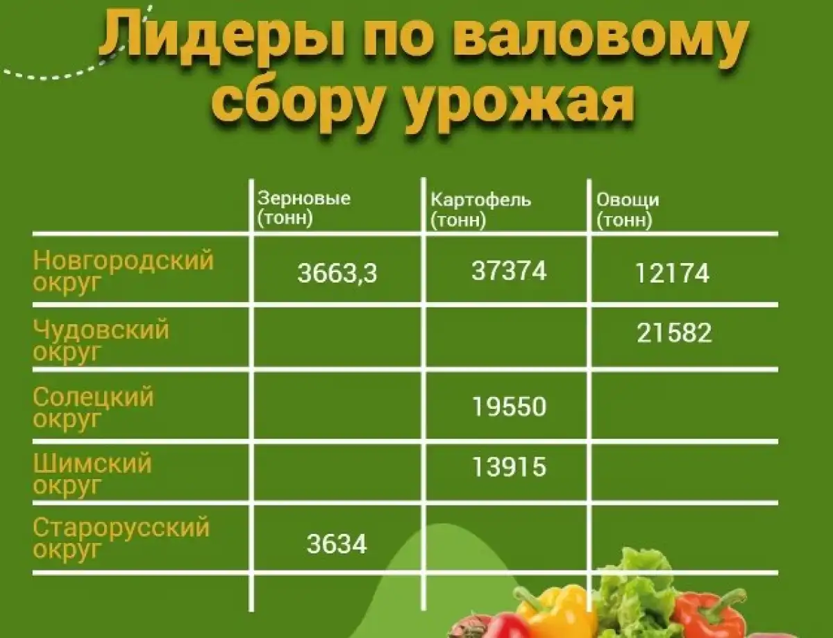 20-26.10.2025 Лента новостей