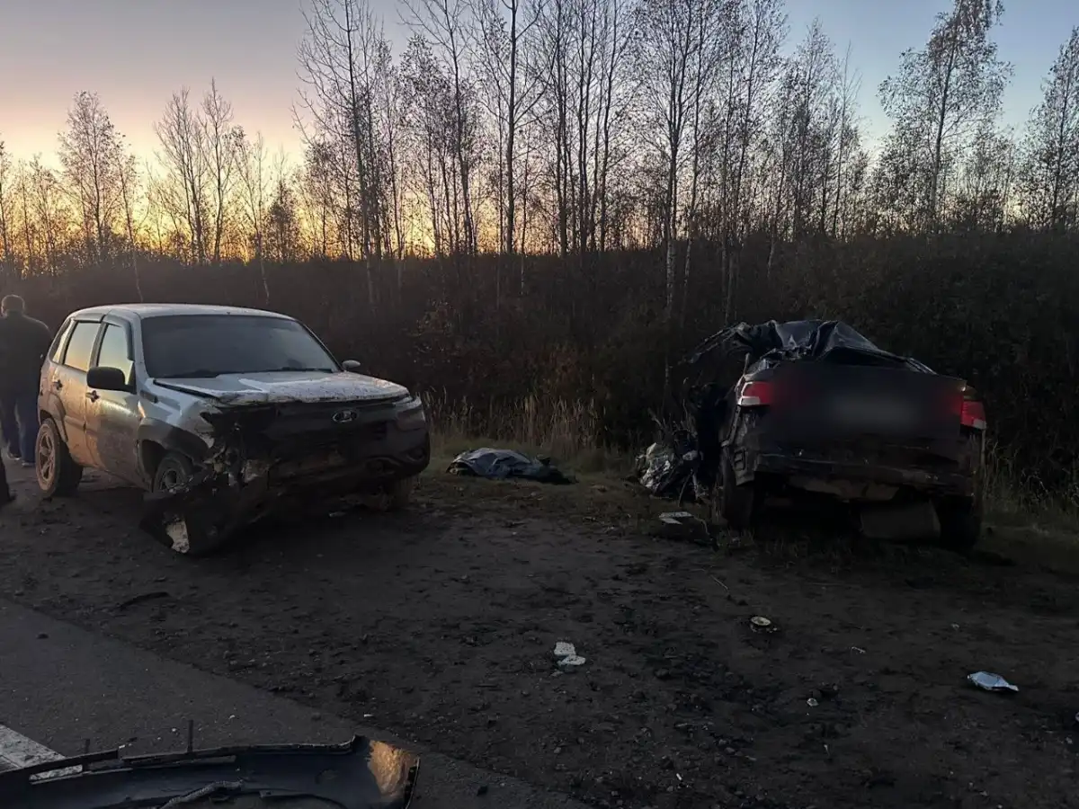 20-26.10.2025 Лента новостей